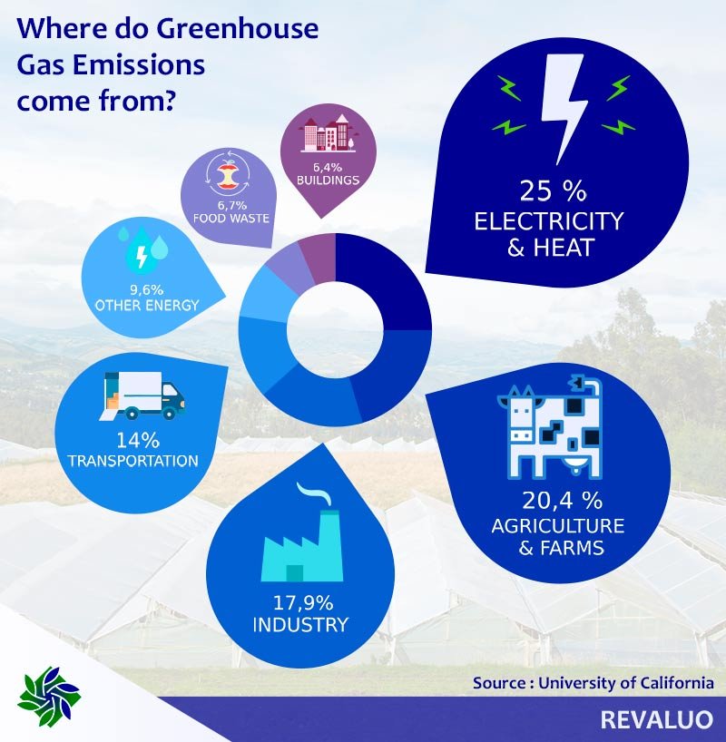 Sources of Greenhouse Gas Emissions